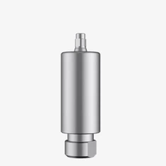 Biodenta Premilli Abutment